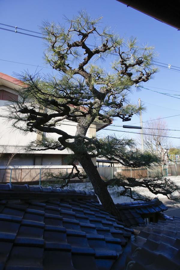 Matsuharu Ann Villa Kyoto Eksteriør bilde